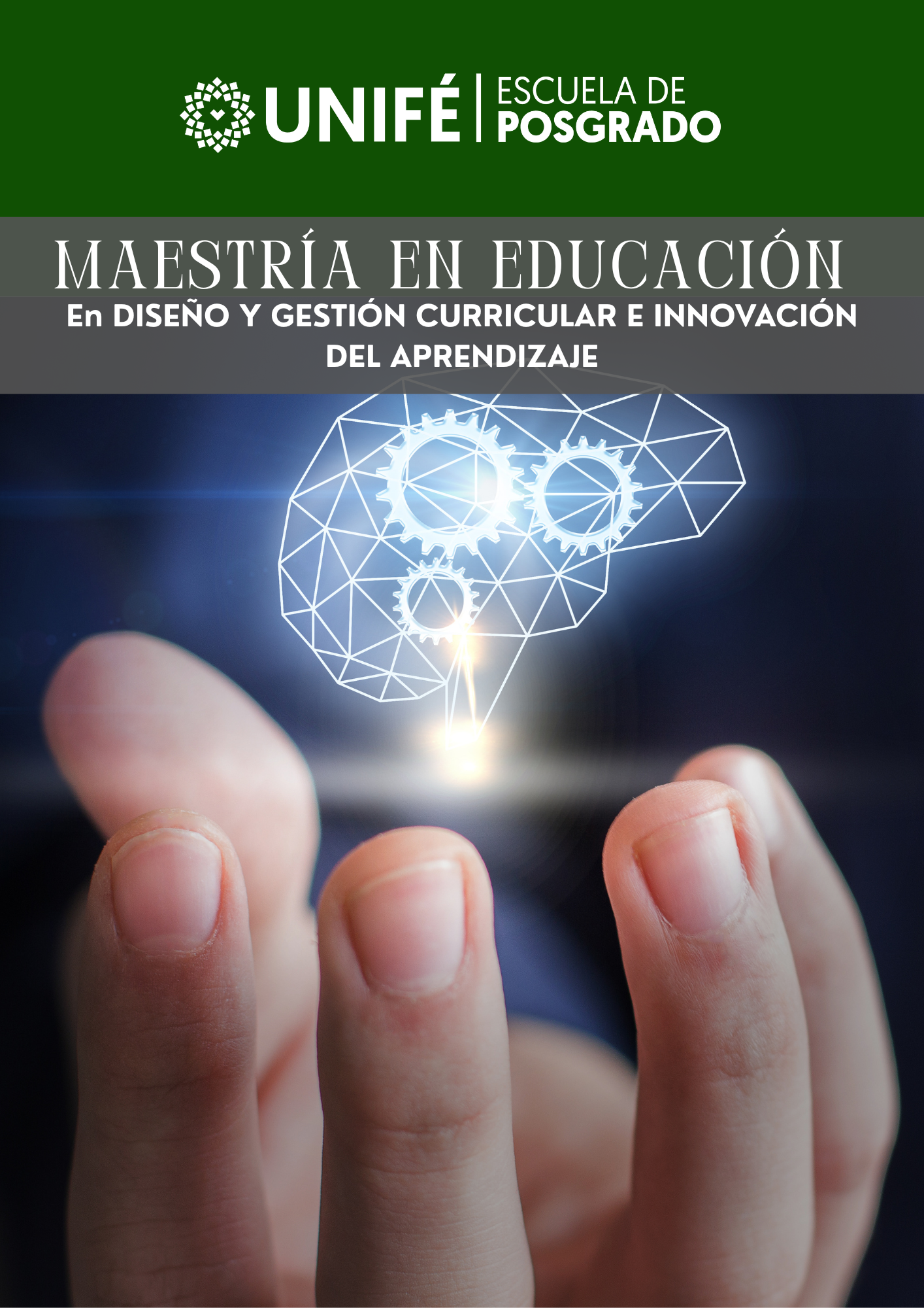 En DISEÑO Y GESTIÓN CURRICULAR E INNOVACIÓN DEL APRENDIZAJE